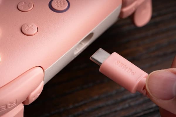 8Bitdo Ultimate 2C Trådbunden Kontroll rosa rosa