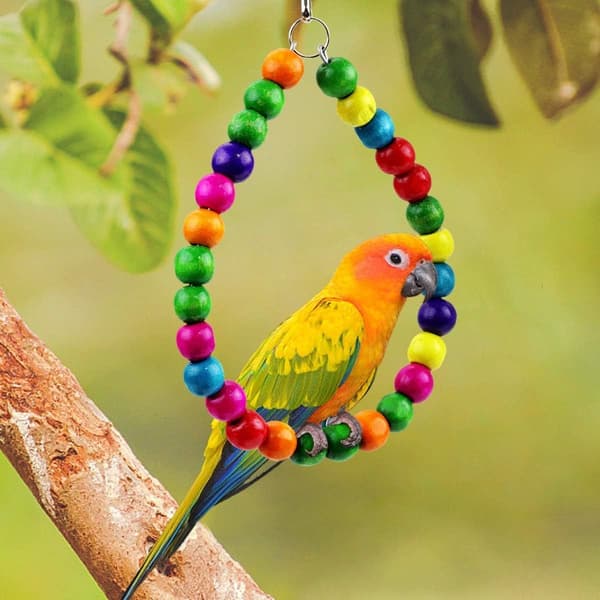 Parrot Toy, Swing, Chew, Hanging Bell, Cage Hammock, KLB