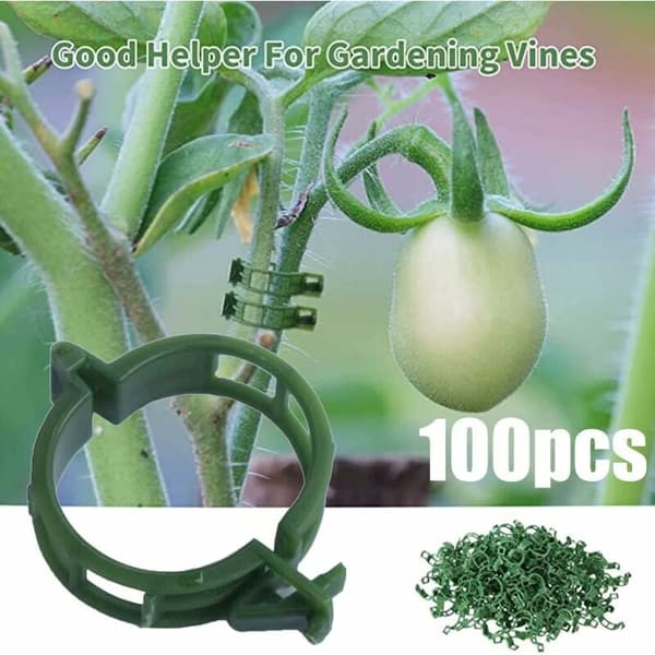 Plant Support Clips for Climbing Vegetables Tomato Plants 100 Pcs Green 2.5 cm