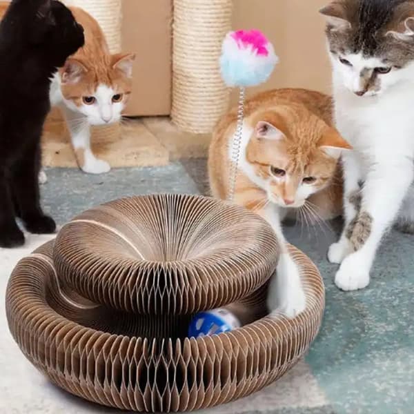 Kattvässarleksak med boll för klös och lek
