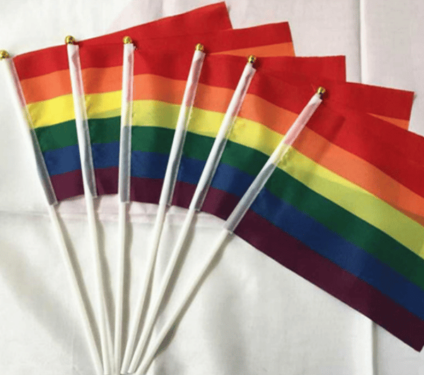 50 stykker pride flag lille mini flag bærer flagstang Amerika