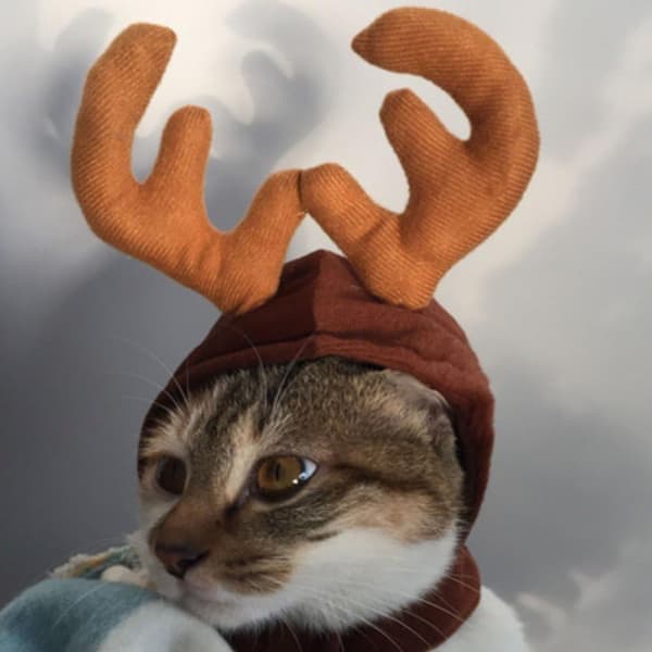 Jultomte Djur Kostym Trähatt Katt Hundhatt Husdjurskläder DXGHC
