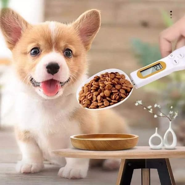Spoon Scale, Measuring Spoon, Portable Electronic Scales, Kitchen Scales, LCD Display, Mini Digital Scales, 500G/0.1G, Essential Kitchen Utensils