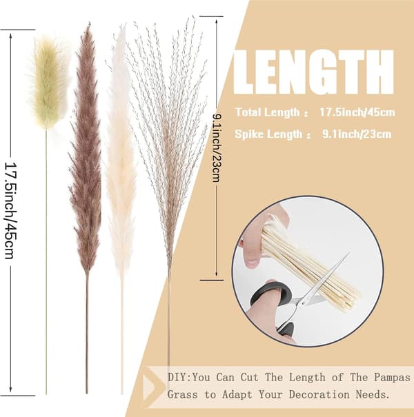 Dried Natural Pampas Grass 100pcs 42.5cm 15pcs White 20pcs Brown