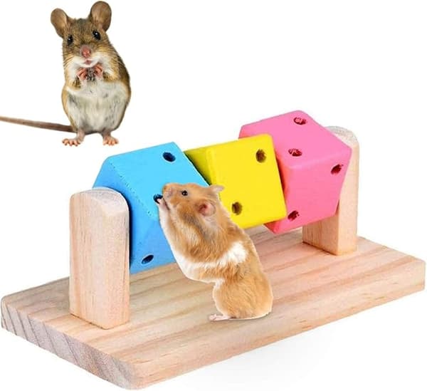 Hamster tyggelegetøj, naturligt træslibende tænderlegetøj til marsvin-FF-
