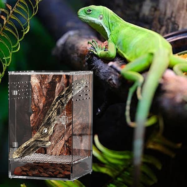 Spindlar terrarium transparent akryl rymningssäkert -