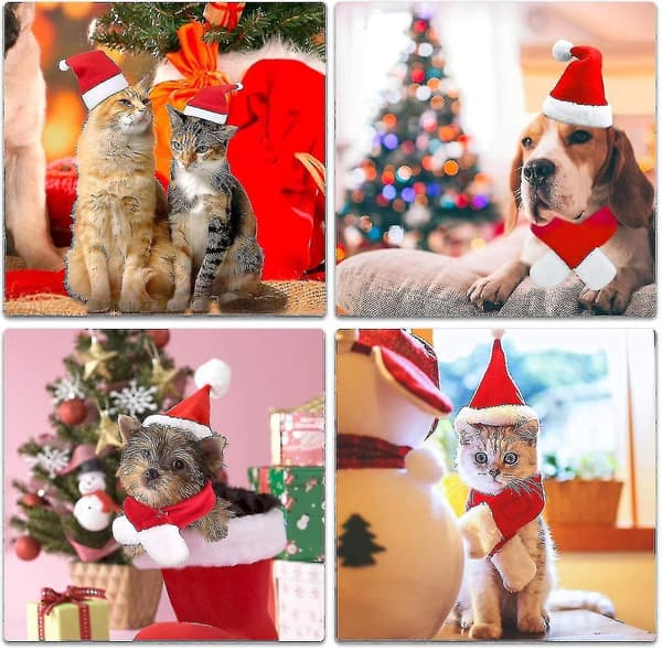 Julekæledyr hund kat cosplay julemandstøj sæt hat og tørklæde_a