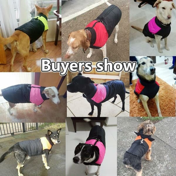 Winter Dog Coat Waterproof Clothes for Small Medium Large Dog Cat Size