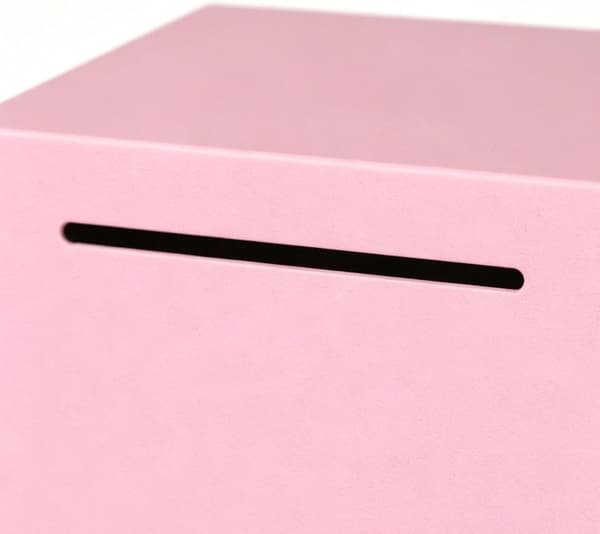 Spargris for mynter i rustfritt stål, rosa Rosa