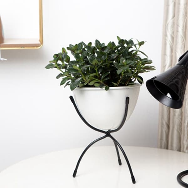 Bedroom Office Single-Layer Indoor Floor Potted Plant Stand Bar Multifunction Single Pot -D