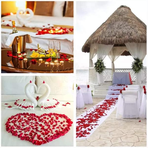 Simulated Petals 2000 pcs Simulated Rose Petals Hand-scattered