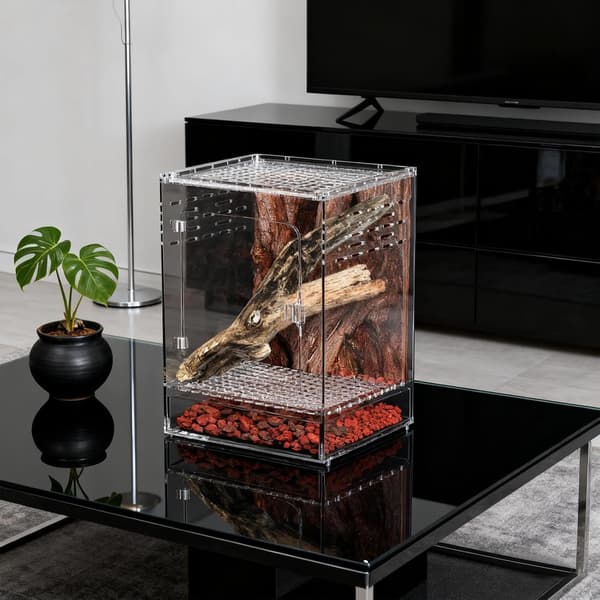 Spindlar terrarium transparent akryl rymningssäkert -