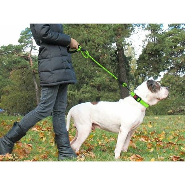 Nylon Dog Leash with Soft Padded Handle and Reflective Threads, 150 cm x 1.2 cm, Green