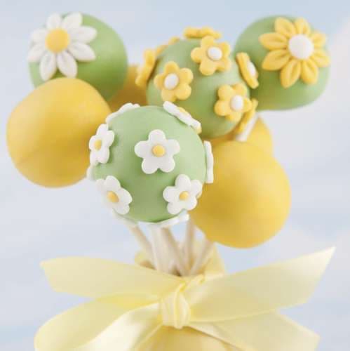 Silikonform Cakepops med 20 Pinnar | Kaker og Klubber