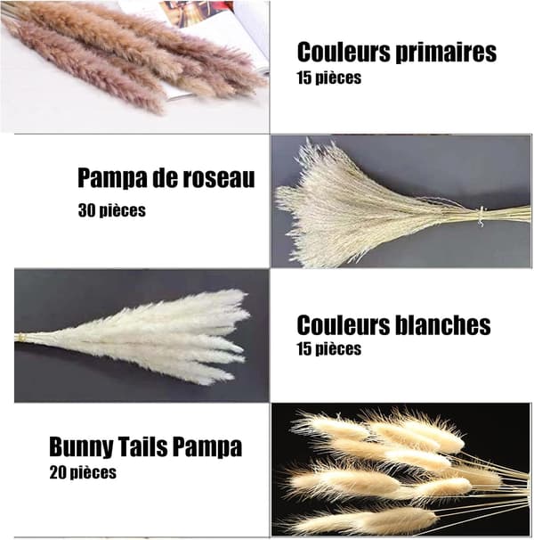 Dried Natural Pampas Grass 100pcs 42.5cm 15pcs White 20pcs Brown