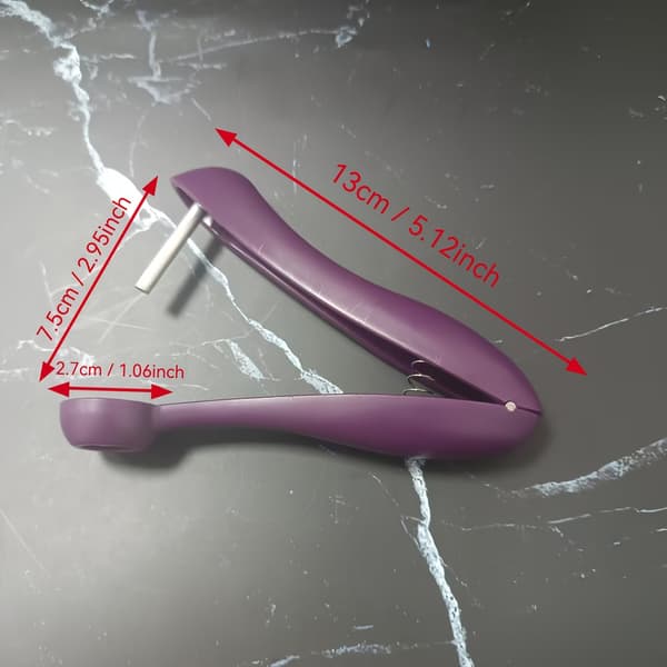 Easy-to-Use Cherry Pitter, Stainless Steel Multifunctional, Easy to Clean