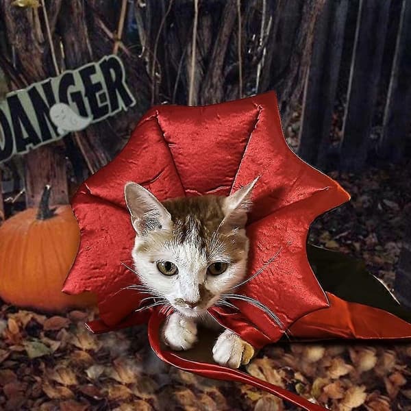 Halloween-kostumer til katte og hunde Kattekappe Vampyrkappe til kæledyrskostume Halloween Kattekostume