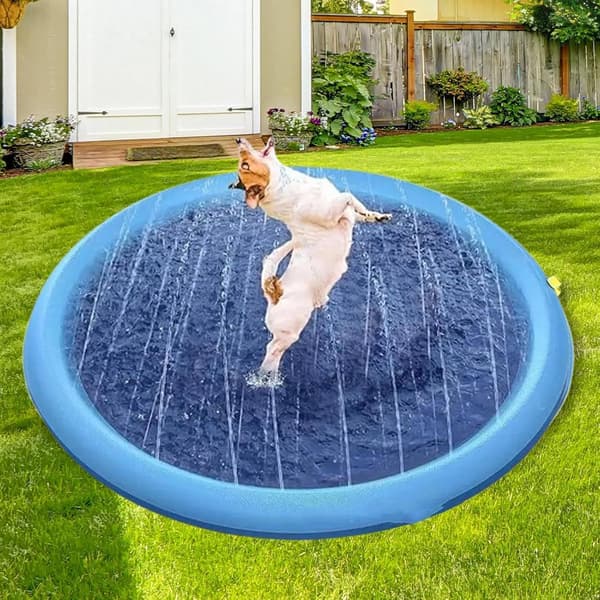 Hundpool - Sommarvattenlekar | Grund pool i trädgården (DB)