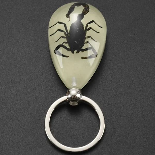 2x Luminous Keychain with Real Insect (Black Scorpion)