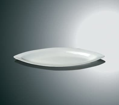 Large Porcelain Dish - Long Leaf - 2 Pack Vit 3000