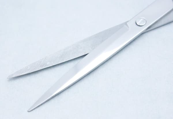 2 stk vannplantesakser 25 cm - buede og rette sakser