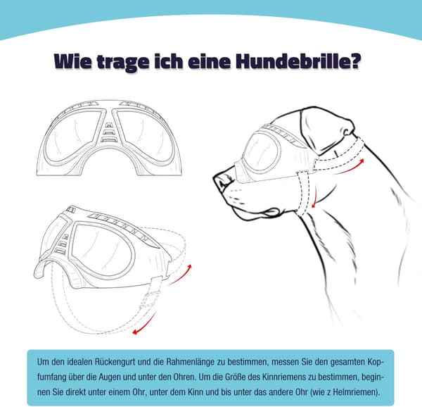 Hundsolbriller Øyebeskyttelse Hundbriller Briller for Store Hunder