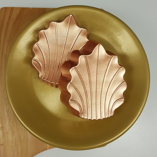 Praline Mold Seashell Chocolate Mold - BWB 9943 - Special 3 Part Mold Transparent transparent
