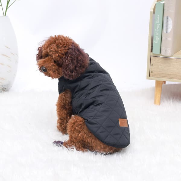 Ny vinterväst varm hund bomullsjacka liten hund Teddy pudel pe
