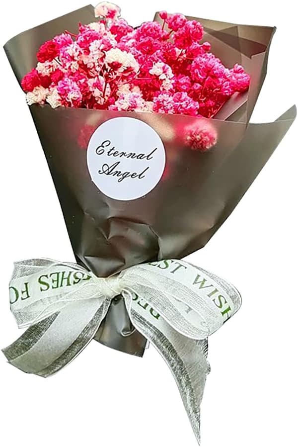 Tørret Blomst Gypsophila Bil Aromaterapi Diffuser Clip, Gypsophila Tørret