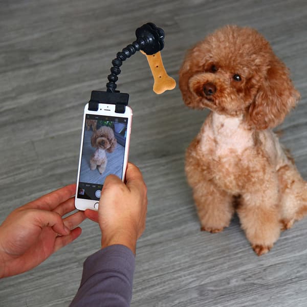 Hund Selfie Stick Bærbar Kæledyr Selfie Stick Kattefotografering