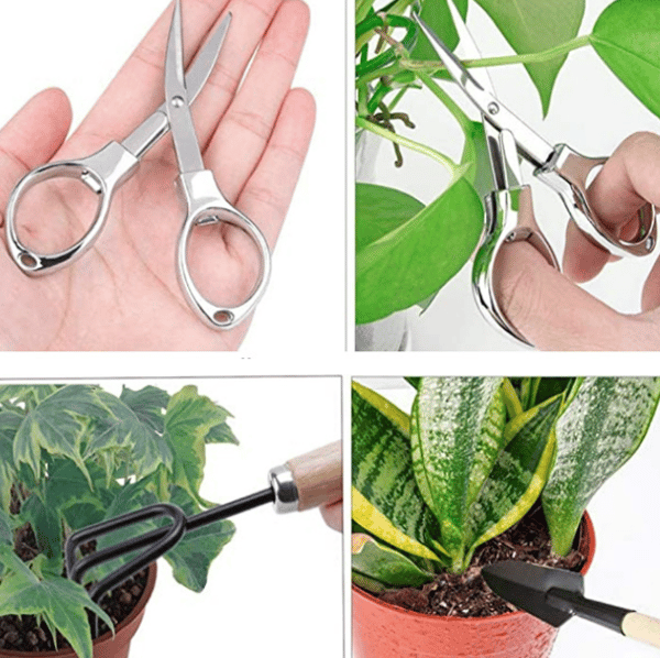 10 Pieces Succulent Plant Planting Tools Garden Landscape