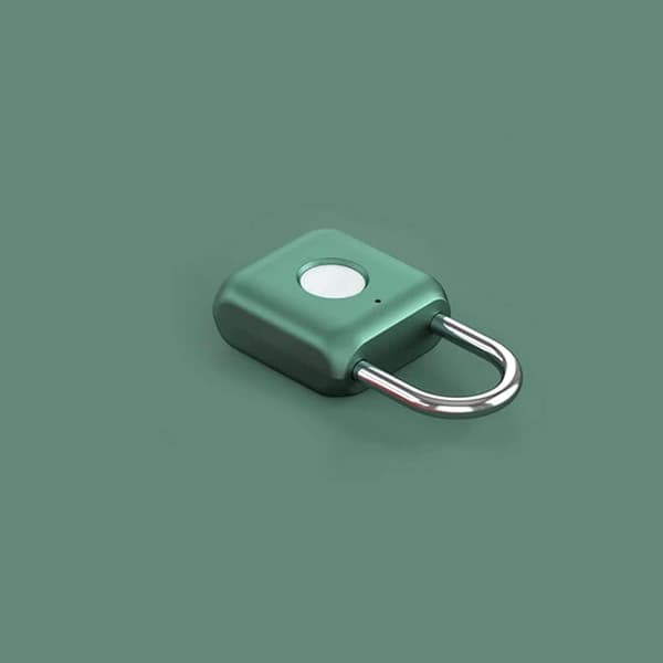 Fingerprint Lock, Electronic Cabinet Lock for Gym, School, Luggage