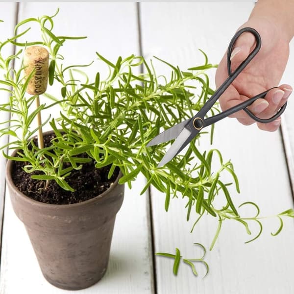 Bonsai-saks, rustfritt stål saks blad tre kutt