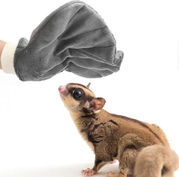 4 st sockerflygare bonding-påse & vantar bit-säkra hamsterbärväska för smådjur & bur-tillbehör