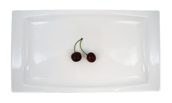 Rectangular Porcelain Dish - Soft-shaped - 4 pack Vit 5200