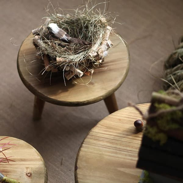 Mini Rund Træskammel Kort Træskammel til Planter Mini Træskammel Display til Hjemme Terrasse