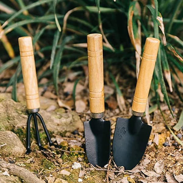 10 Pieces Succulent Plant Planting Tools Garden Landscape