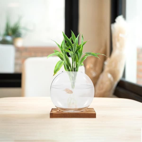 Hydroponinen lasimaljakko puualustalla, läpinäkyvä kasveille
