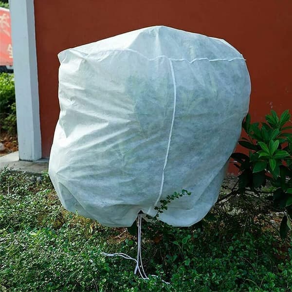 Plantevinterdug, vinterdug til oliventræer, vinterdug til træer, beskyttelsesovertræk til tomat- og citrontræer, vinterdug til planter, have- og grøntsagspose, non-woven