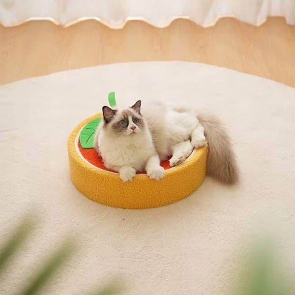 Cat Scratching Board Round Den Orange 39cm