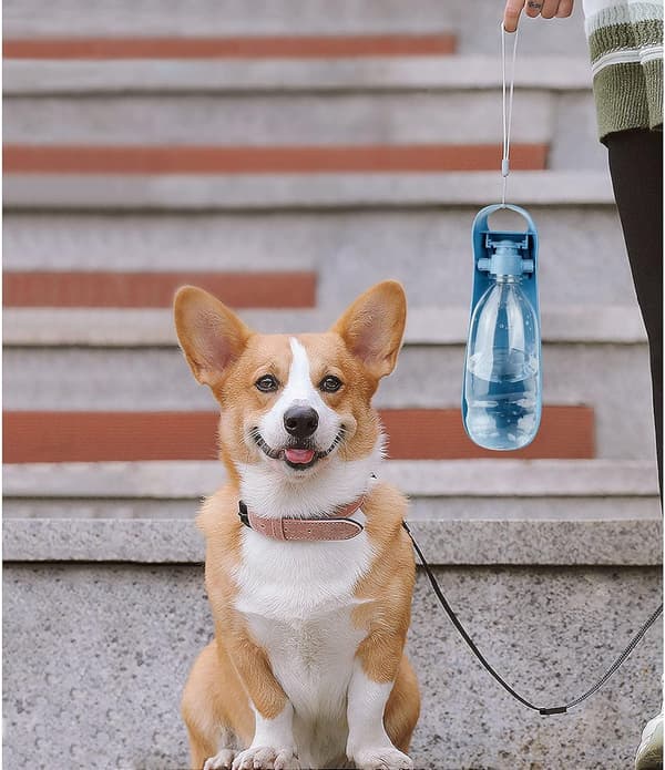 Hundevandflaske, 550 ml bærbar vandbeholder til hunde og katte