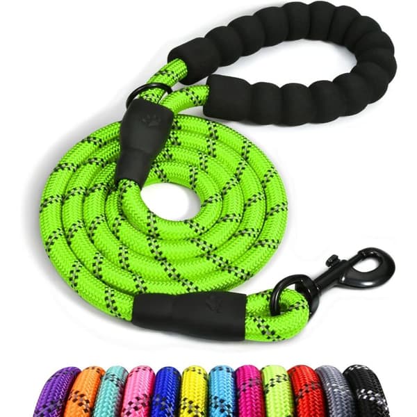 Nylon Dog Leash with Soft Padded Handle and Reflective Threads, 150 cm x 1.2 cm, Green