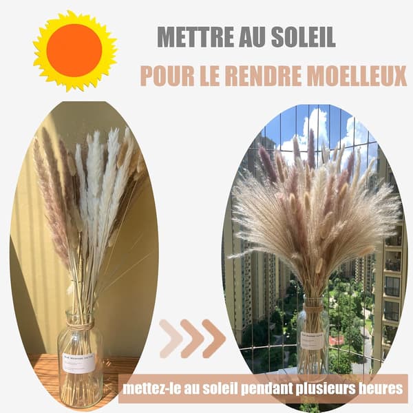 Dried Natural Pampas Grass 100pcs 42.5cm 15pcs White 20pcs Brown
