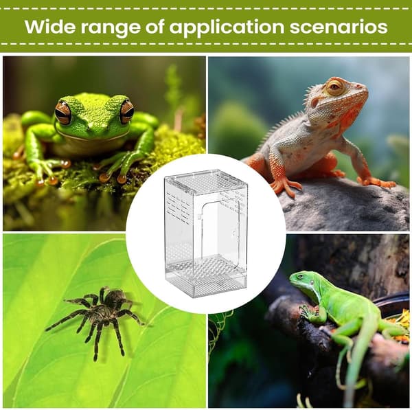 Spindlar terrarium transparent akryl rymningssäkert -