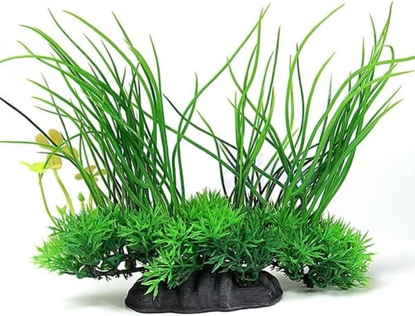 Dekorativ vannplante for akvarium DXGHC