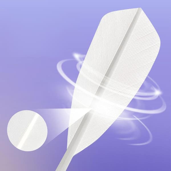 Badminton Shuttle 12 st inomhus slagträningsfjäderbollar -