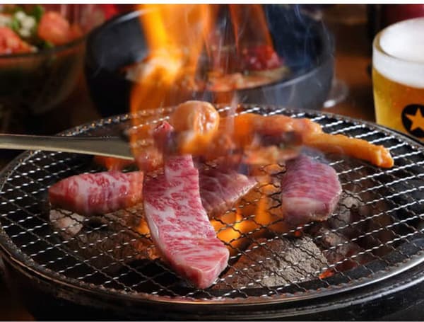 5 Runde Grillmåtter Dampende Bagekølestativ til Kulgrill 24cm Sølv