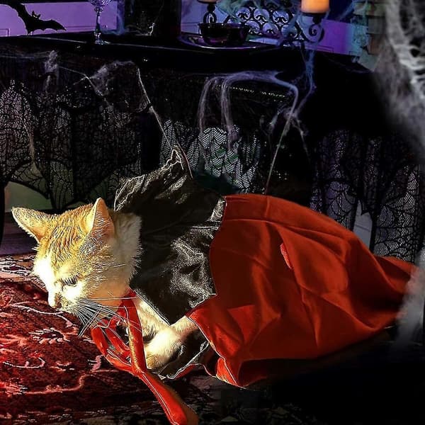 Halloween-kostumer til katte og hunde Kattekappe Vampyrkappe til kæledyrskostume Halloween Kattekostume