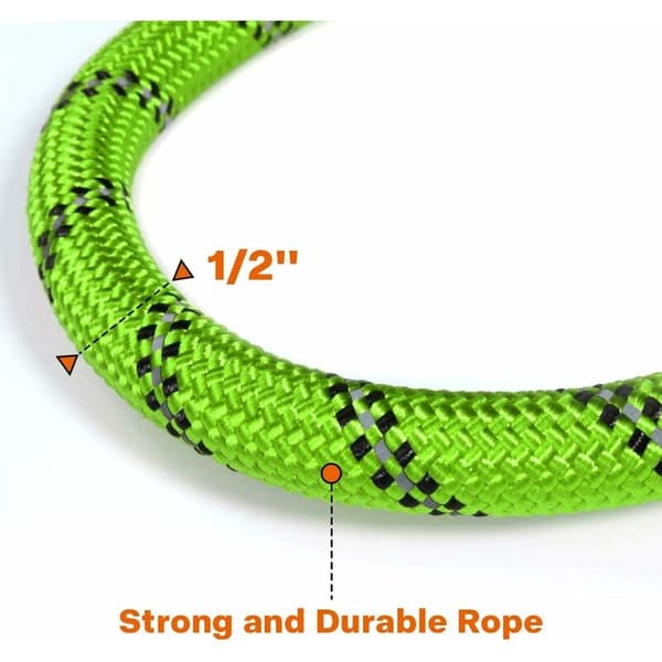 Nylon Dog Leash with Soft Padded Handle and Reflective Threads, 150 cm x 1.2 cm, Green