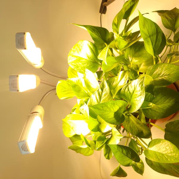 Plantelys, Nyt E27 2-hovedet Plantelys, Hortikulturel LED-pære